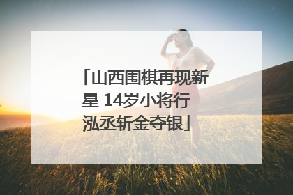 山西围棋再现新星 14岁小将行泓丞斩金夺银