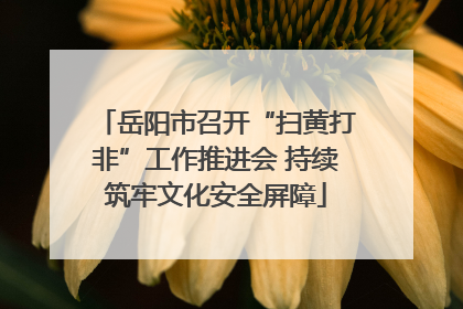岳阳市召开“扫黄打非”工作推进会 持续筑牢文化安全屏障