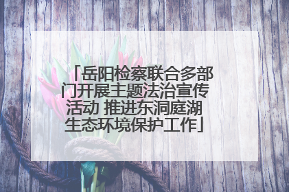 岳阳检察联合多部门开展主题法治宣传活动 推进东洞庭湖生态环境保护工作