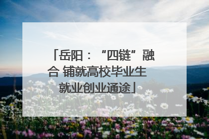 岳阳：“四链”融合 铺就高校毕业生就业创业通途