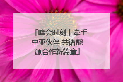 峰会时刻丨牵手中亚伙伴 共谱能源合作新篇章