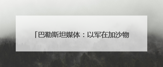 巴勒斯坦媒体：以军在加沙物资分发点附近打死至少28人