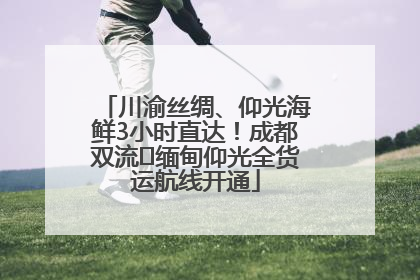 川渝丝绸、仰光海鲜3小时直达！成都双流⇌缅甸仰光全货运航线开通