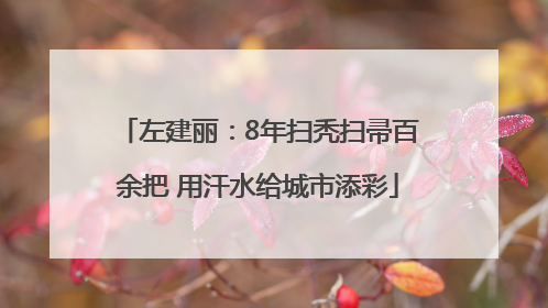 左建丽：8年扫秃扫帚百余把 用汗水给城市添彩