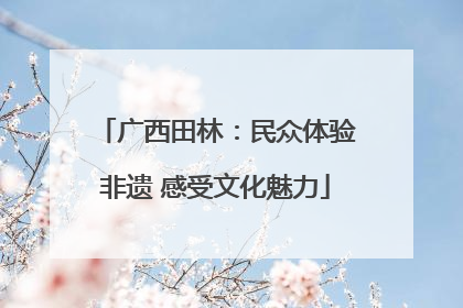 广西田林：民众体验非遗 感受文化魅力