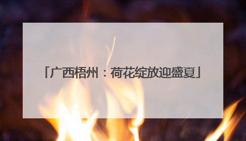 广西梧州：荷花绽放迎盛夏