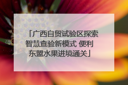 广西自贸试验区探索智慧查验新模式 便利东盟水果进境通关
