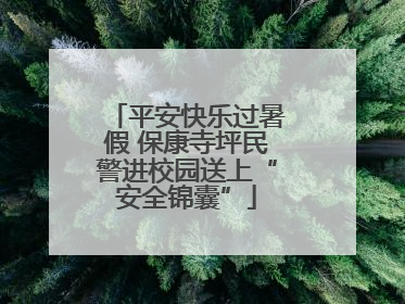 平安快乐过暑假 保康寺坪民警进校园送上“安全锦囊”