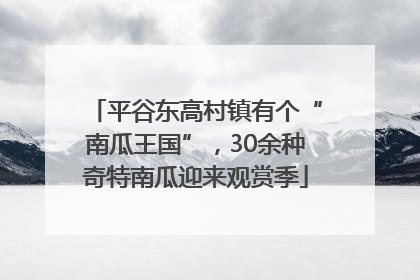 平谷东高村镇有个“南瓜王国”，30余种奇特南瓜迎来观赏季