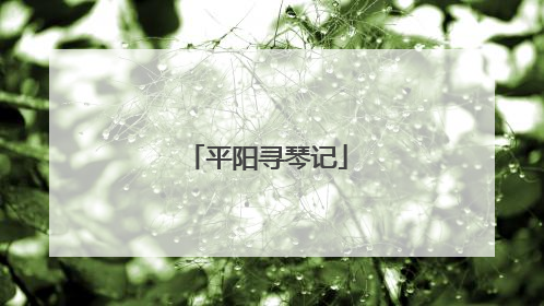 平阳寻琴记