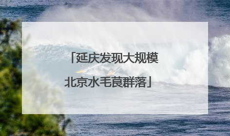 延庆发现大规模北京水毛茛群落