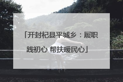 开封杞县平城乡：履职践初心 帮扶暖民心