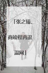 张之臻、商竣程再退温网