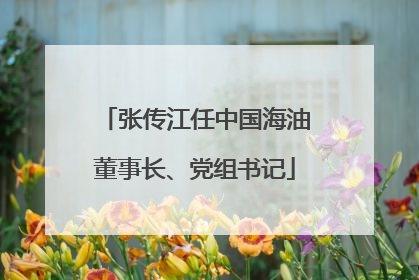 张传江任中国海油董事长、党组书记