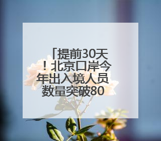提前30天！北京口岸今年出入境人员数量突破800万人次
