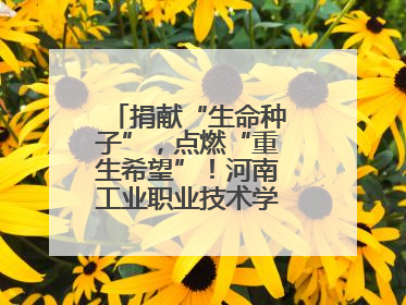 捐献“生命种子”，点燃“重生希望”！河南工业职业技术学院校友为患者捐献造血干细胞