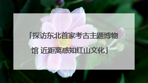 探访东北首家考古主题博物馆 近距离感知红山文化