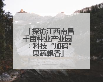 探访江西南昌千亩种业产业园：科技“加码” 果蔬飘香