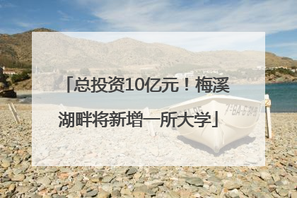 总投资10亿元！梅溪湖畔将新增一所大学