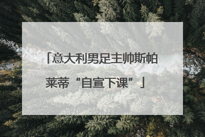 意大利男足主帅斯帕莱蒂“自宣下课”