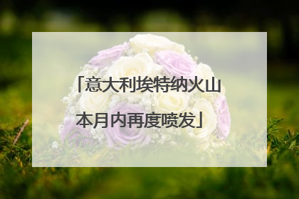 意大利埃特纳火山本月内再度喷发