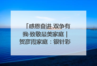 感恩奋进 双争有我·致敬最美家庭｜贺彦霞家庭：银针彩线绣出好日子