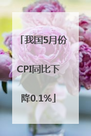 我国5月份CPI同比下降0.1%