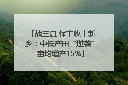 战三夏 保丰收丨新乡：中低产田“逆袭” 亩均增产15%