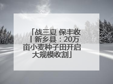 战三夏 保丰收丨新乡县：20万亩小麦种子田开启大规模收割