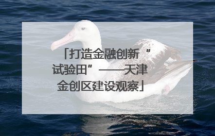 打造金融创新“试验田”——天津金创区建设观察