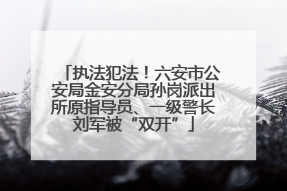执法犯法！六安市公安局金安分局孙岗派出所原指导员、一级警长刘军被“双开”