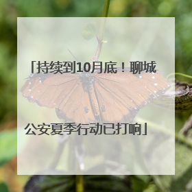 持续到10月底！聊城公安夏季行动已打响