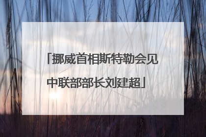 挪威首相斯特勒会见中联部部长刘建超