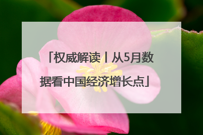 权威解读丨从5月数据看中国经济增长点