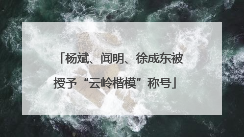 杨斌、闻明、徐成东被授予“云岭楷模”称号