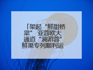 架起“鲜甜桥梁” 亚蓉欧大通道“澜湄蓉”鲜果专列顺利运抵成都青白江