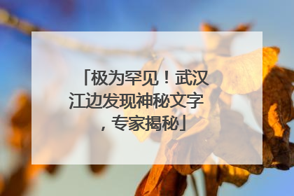 极为罕见！武汉江边发现神秘文字，专家揭秘