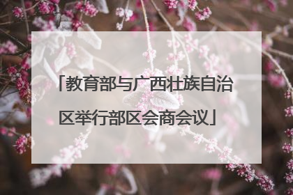 教育部与广西壮族自治区举行部区会商会议