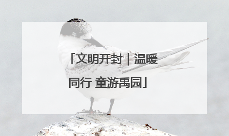 文明开封｜温暖同行 童游禹园