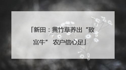新田：黄竹草养出“致富牛” 农户信心足