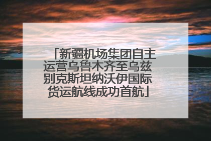 新疆机场集团自主运营乌鲁木齐至乌兹别克斯坦纳沃伊国际货运航线成功首航