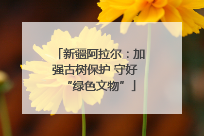 新疆阿拉尔：加强古树保护 守好“绿色文物”