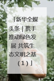 新华全媒头条｜携手推动绿色发展 共筑生态文明之基（1）