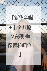 新华全媒+｜全力抢收夏粮 确保颗粒归仓