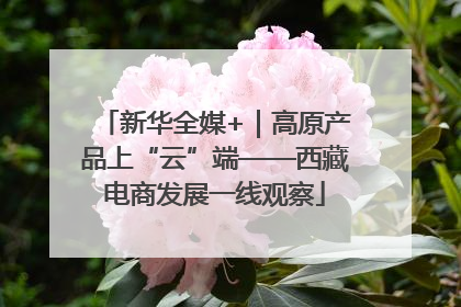 新华全媒+｜高原产品上“云”端——西藏电商发展一线观察