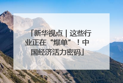 新华视点｜这些行业正在“爆单”！中国经济活力密码