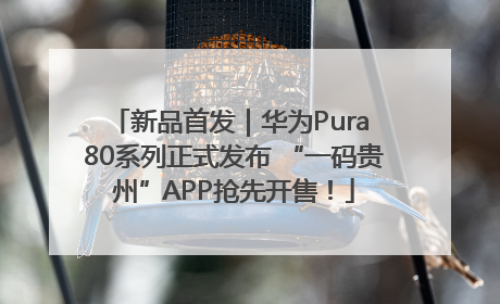 新品首发｜华为Pura 80系列正式发布 “一码贵州”APP抢先开售！