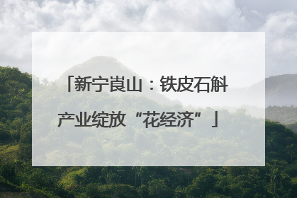 新宁崀山：铁皮石斛产业绽放“花经济”
