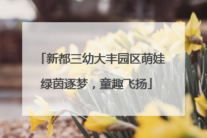 新都三幼大丰园区萌娃绿茵逐梦，童趣飞扬