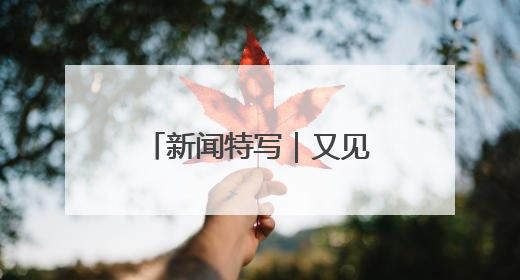 新闻特写｜又见老白：“双考”连轴转，交警“护考档”密集开启
